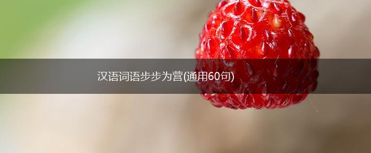 汉语词语步步为营(通用60句),第1张