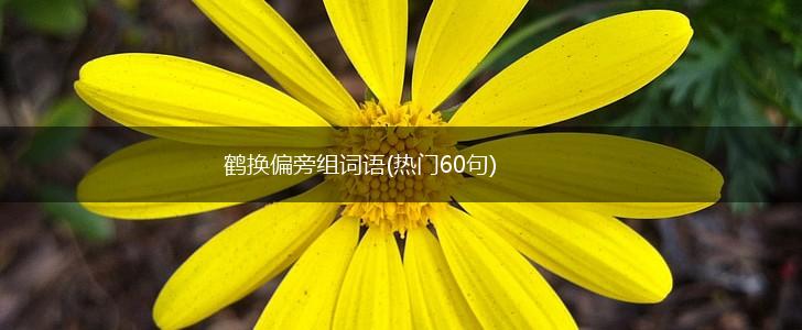 鹤换偏旁组词语(热门60句),第1张