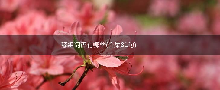 舔组词语有哪些(合集81句),第1张 舔组词语有哪些(合集81句),第1张