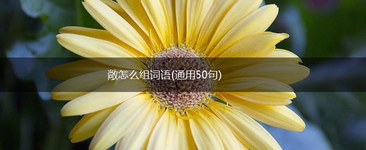 敞怎么组词语(通用50句),第1张