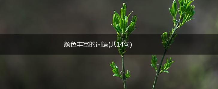 颜色丰富的词语(共14句),第1张