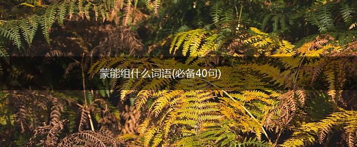 蒙能组什么词语(必备40句),第1张