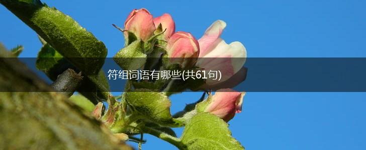 符组词语有哪些(共61句),第1张