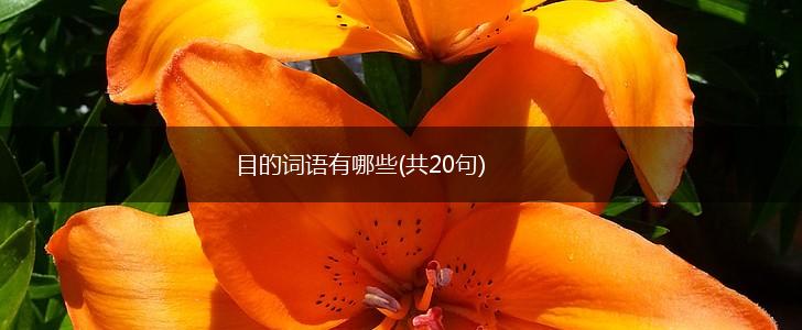 目的词语有哪些(共20句),第1张