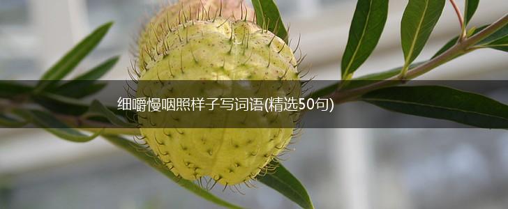 细嚼慢咽照样子写词语(精选50句),第1张