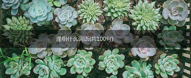 逢组什么词语(共100句),第1张