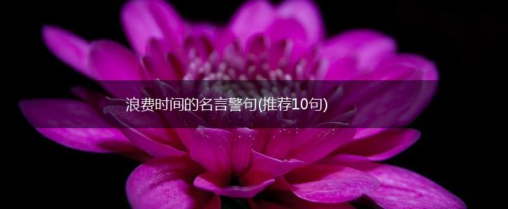 浪费时间的名言警句(推荐10句),第1张