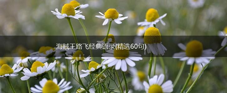 海贼王路飞经典语录(精选60句),第1张