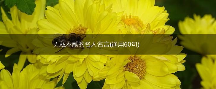 无私奉献的名人名言(通用60句),第1张