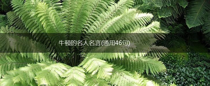 牛顿的名人名言(通用46句),第1张