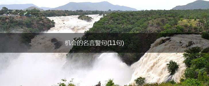 机会的名言警句(11句),第1张