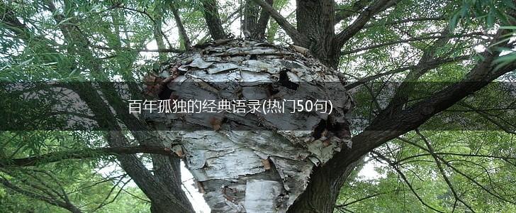 百年孤独的经典语录(热门50句),第1张
