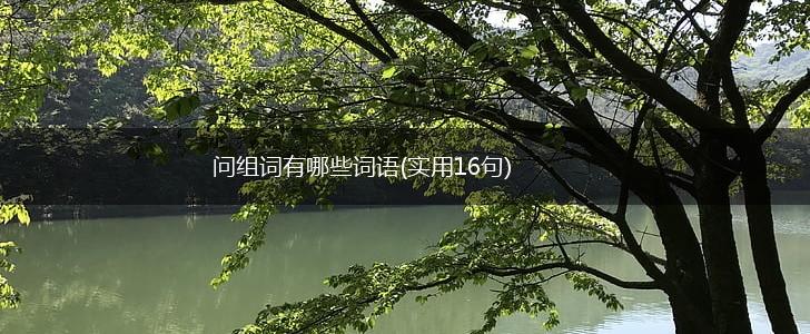 问组词有哪些词语(实用16句),第1张
