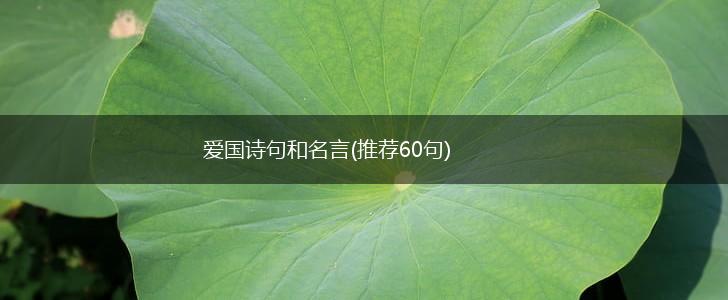 爱国诗句和名言(推荐60句),第1张 爱国诗句和名言(推荐60句),第1张