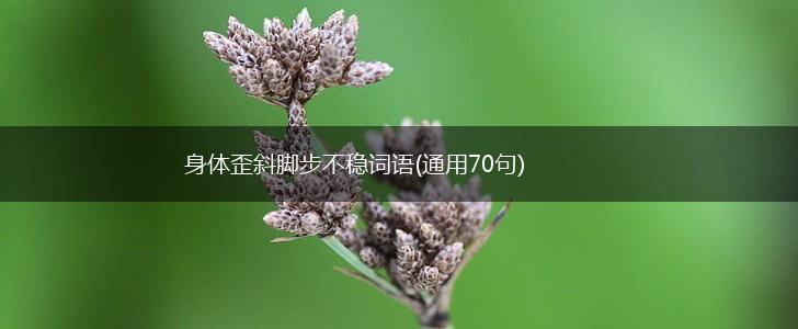 身体歪斜脚步不稳词语(通用70句),第1张