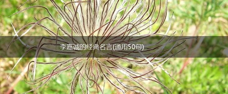 李嘉诚的经典名言(通用50句),第1张