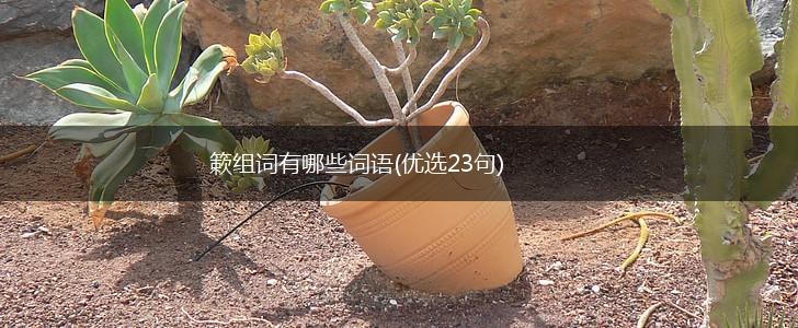 簌组词有哪些词语(优选23句),第1张