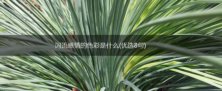 词语感情的色彩是什么(优选8句),第1张