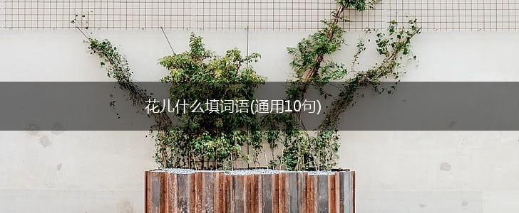 花儿什么填词语(通用10句),第1张 花儿什么填词语(通用10句),第1张