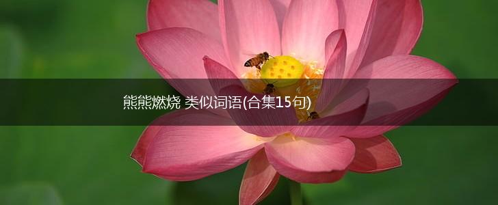 熊熊燃烧 类似词语(合集15句),第1张