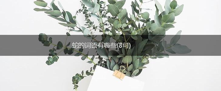 蛇的词语有哪些(8句),第1张