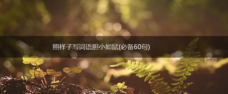 照样子写词语胆小如鼠(必备60句),第1张