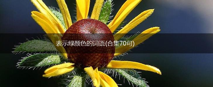 表示绿颜色的词语(合集70句),第1张