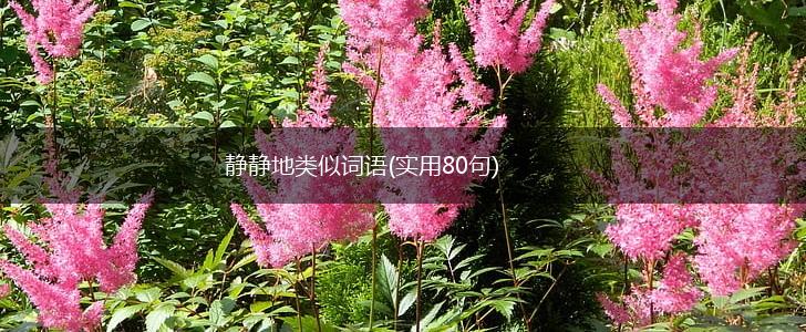 静静地类似词语(实用80句),第1张