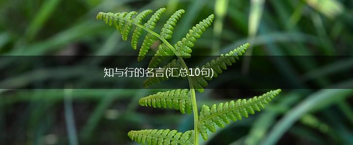 知与行的名言(汇总10句),第1张