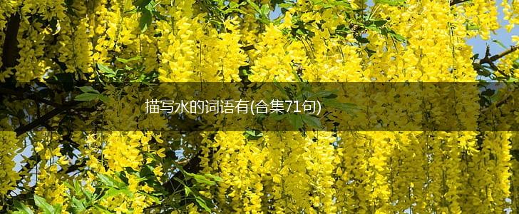 描写水的词语有(合集71句),第1张