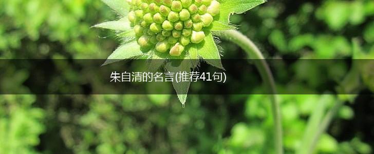 朱自清的名言(推荐41句),第1张