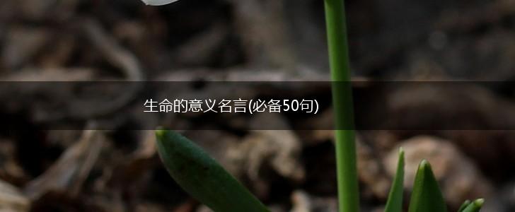 生命的意义名言(必备50句),第1张