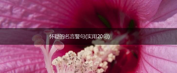 怀疑的名言警句(实用20句),第1张