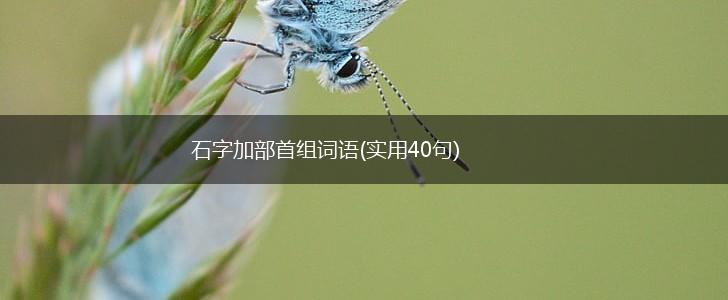 石字加部首组词语(实用40句),第1张