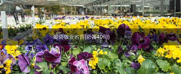 爱岗敬业名言(必备40句),第1张