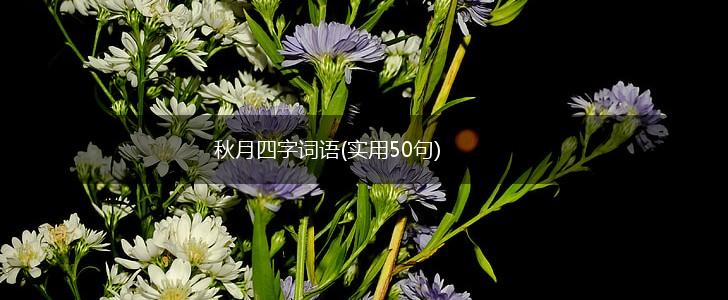 秋月四字词语(实用50句),第1张