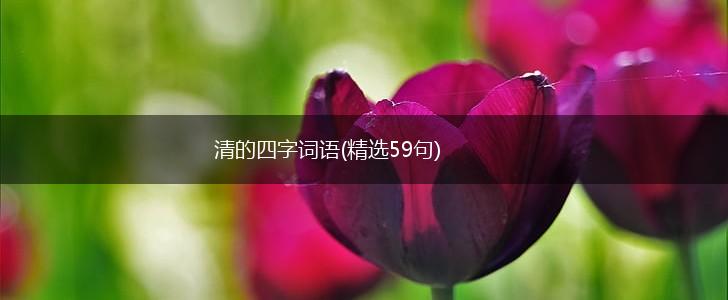 清的四字词语(精选59句),第1张