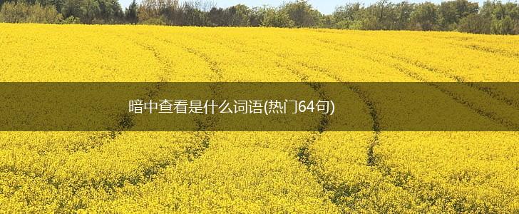 暗中查看是什么词语(热门64句),第1张