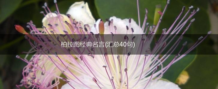 柏拉图经典名言(汇总40句),第1张