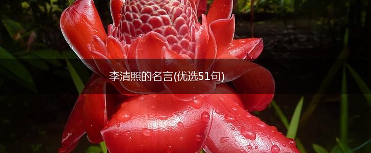 李清照的名言(优选51句),第1张