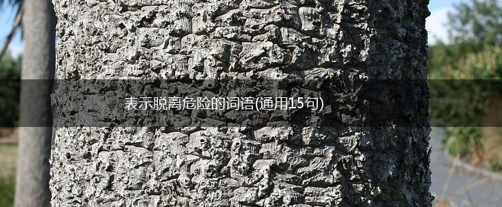 表示脱离危险的词语(通用15句),第1张 表示脱离危险的词语(通用15句),第1张