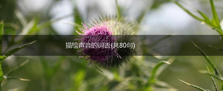描绘声音的词语(共80句),第1张