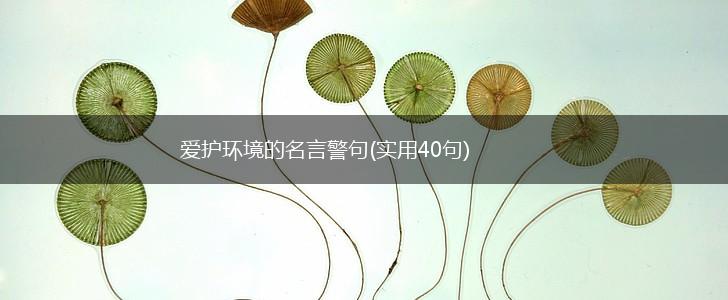 爱护环境的名言警句(实用40句),第1张