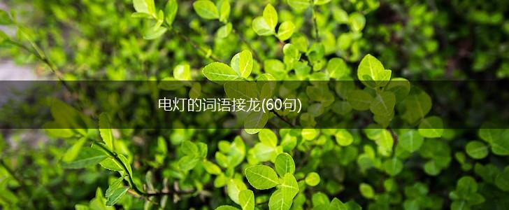 电灯的词语接龙(60句),第1张 电灯的词语接龙(60句),第1张
