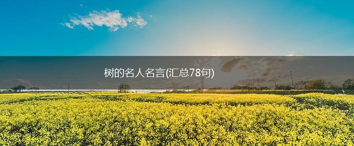 树的名人名言(汇总78句),第1张 树的名人名言(汇总78句),第1张