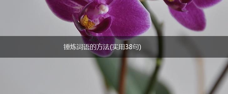 锤炼词语的方法(实用38句),第1张