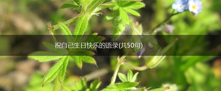 祝自己生日快乐的语录(共50句),第1张