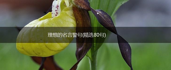 理想的名言警句(精选80句),第1张