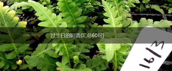 过生日的词语(汇总60句),第1张