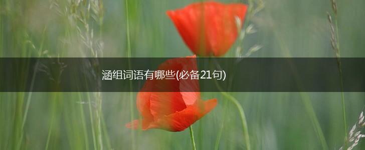 涵组词语有哪些(必备21句),第1张